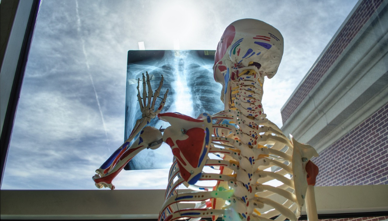 Medical Education and Academic Events