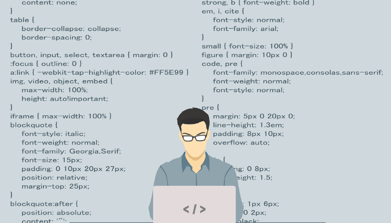 Web Development Services